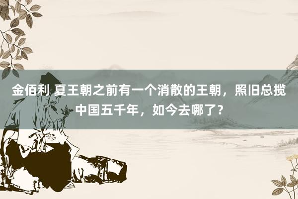 金佰利 夏王朝之前有一个消散的王朝，照旧总揽中国五千年，如今去哪了？