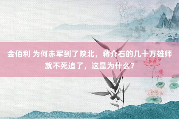金佰利 为何赤军到了陕北，蒋介石的几十万雄师就不死追了，这是为什么？