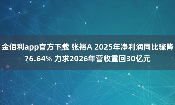 金佰利app官方下载 张裕A 2025年净利润同比骤降76.64% 力求2026年营收重回30亿元
