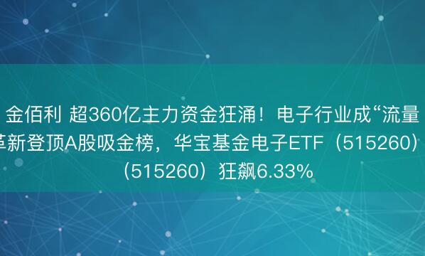 金佰利 超360亿主力资金狂涌！电子行业成“流量王”！兆易革新登顶A股吸金榜，华宝基金电子ETF（515260）狂飙6.33%